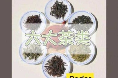 绿茶有多少种品种（6大茶类分别有哪些茶）